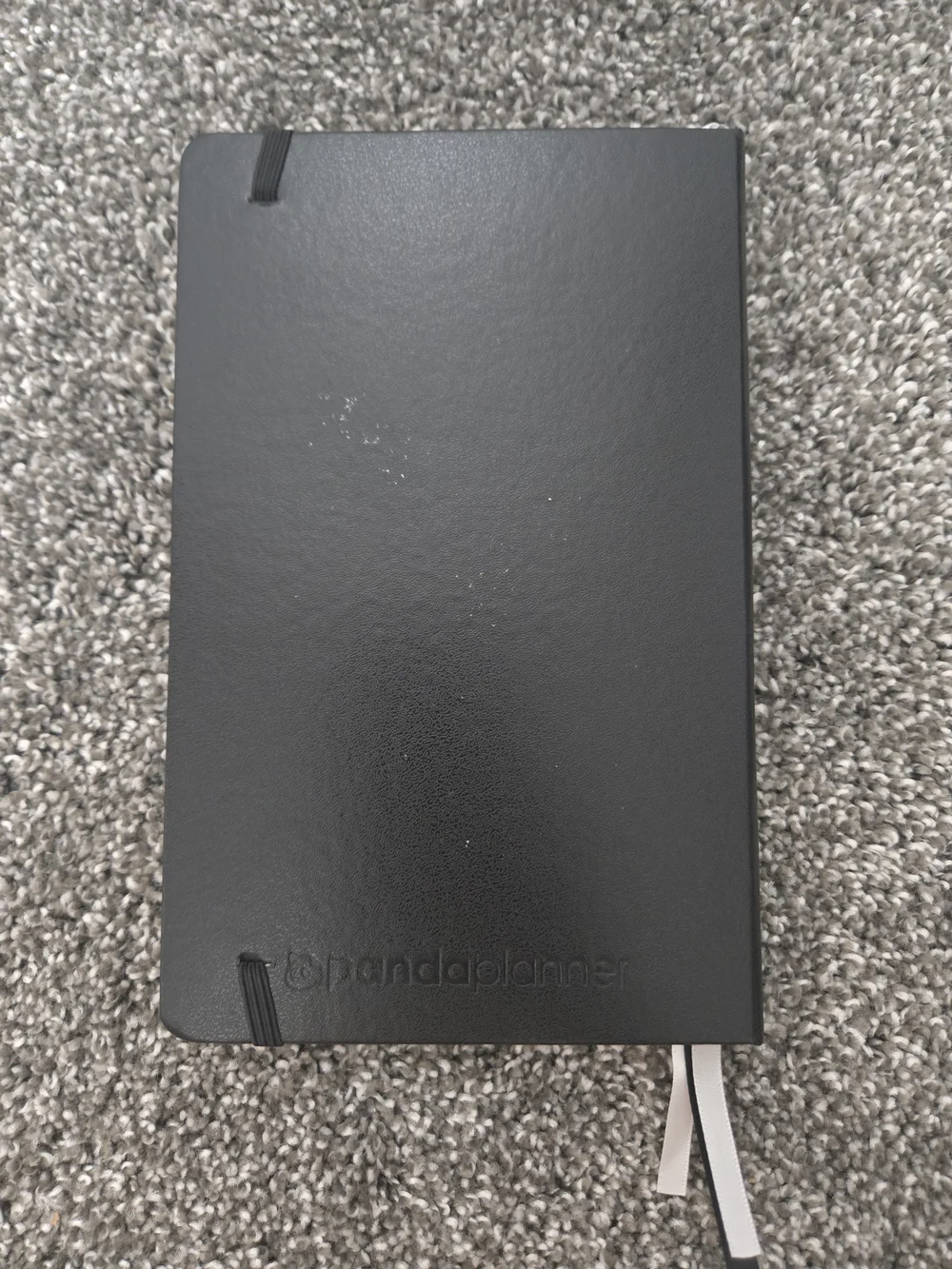 Blank Monthly And Daily Panda Planner Notebook